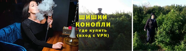 бошки Аркадак