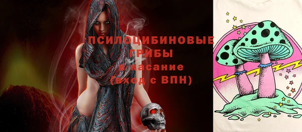 mdpv Арсеньев