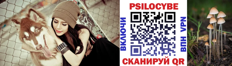 Псилоцибиновые грибы мухоморы Суровикино