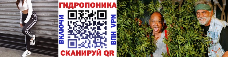 Бошки Шишки Ganja  гидра рабочий сайт  Суровикино  где купить наркоту 